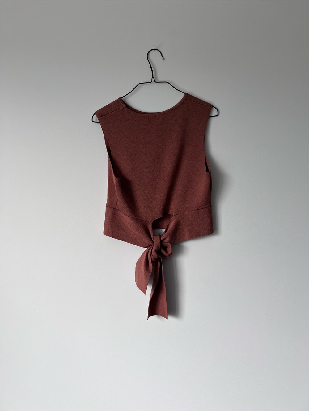 wild fable Rust Tie-Back Sleeveless Crop Tank - Picture 2 of 3
